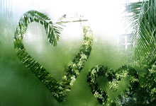 -绿茵场上的魔法：当技术点燃掌声