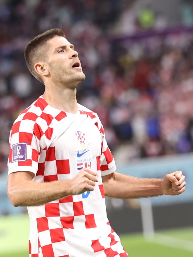 加拿大队惊险胜利，晋级欧锦赛强的简单介绍