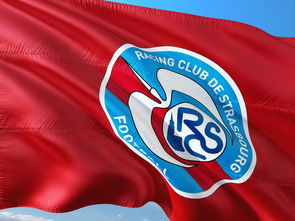 开云体育app-帕尔梅拉斯赛前体能检测通过，争冠筹备顺利