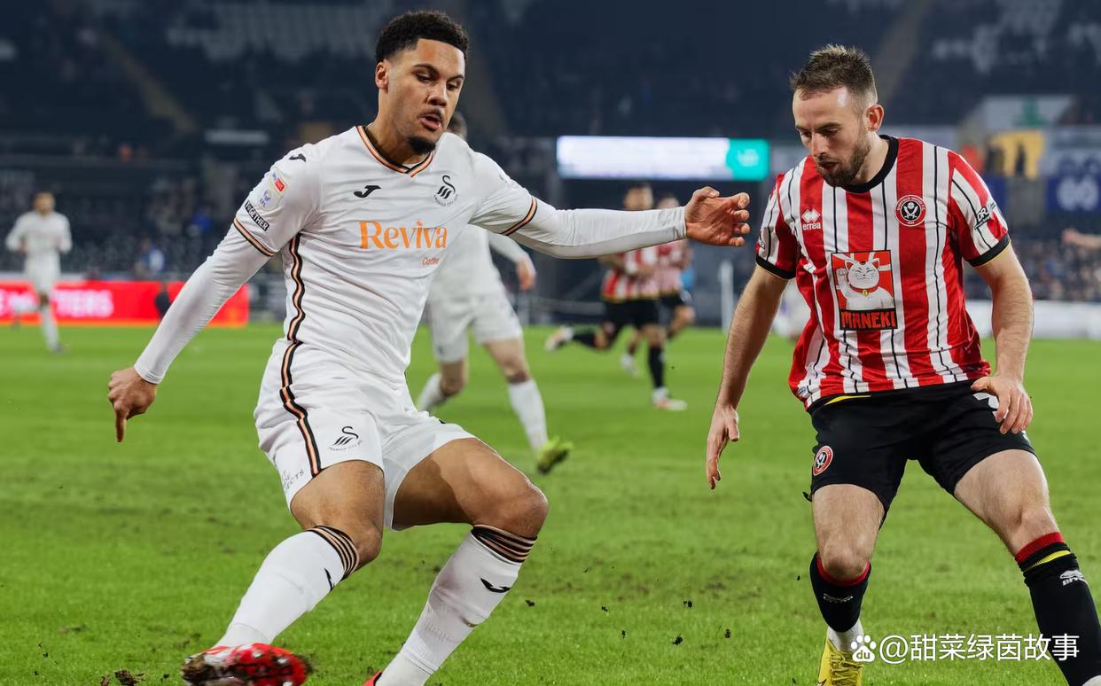 斯旺西联主场不敌沃特福德，陷入连败困境沦陷的简单介绍