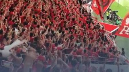 开云体育登录-精彩瞬间回顾，球迷沉浸其中的简单介绍