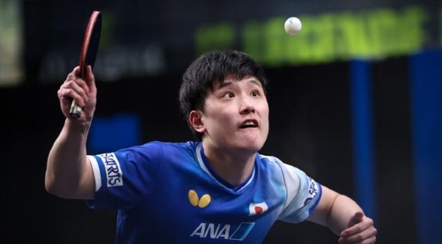 开云官网-波兰队完胜中国队，张本智和带队取胜