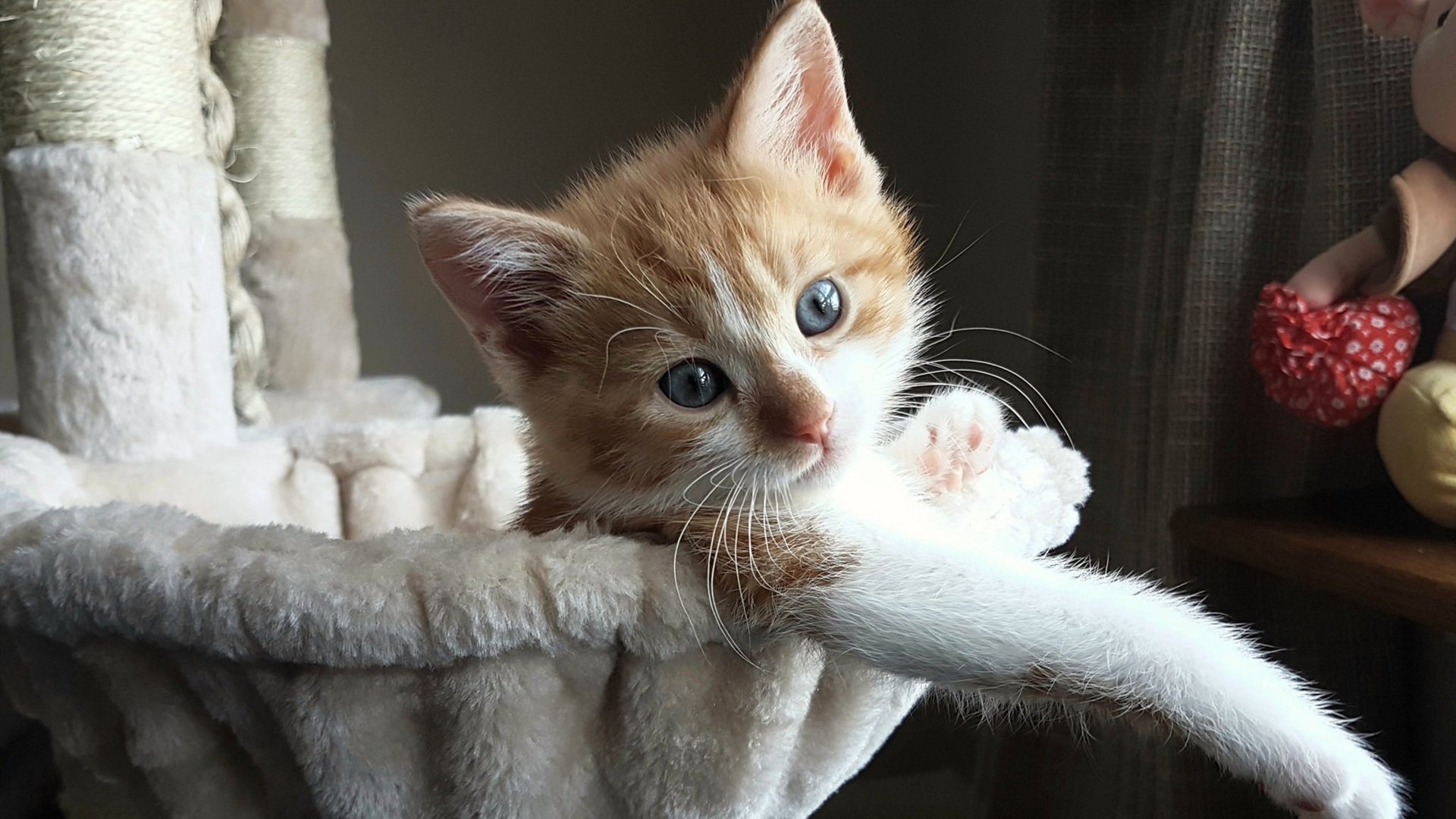 奥运周期焦点战，湖人队全面压制吉林队，关键胜利奠定优势