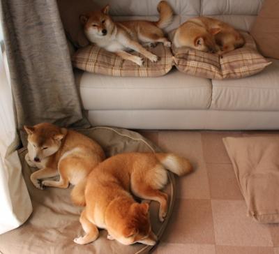 开云体育-卢卡库惊艳四座，瑞典黑马加时鏖战击碎莱比锡红牛