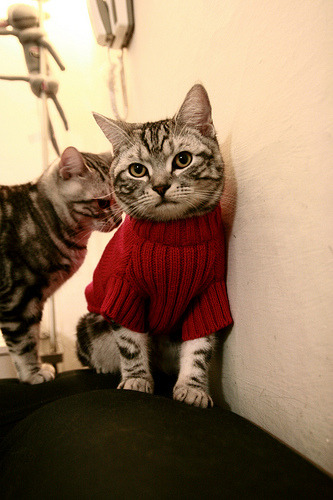 奥运周期关键战之夜，霍勒迪的软性杀伤如何改写比赛逻辑