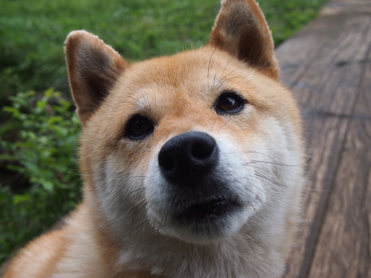 蝴蝶振翅，萨拉赫的爆发如何遥控哥斯达黎加与雷恩的命运？