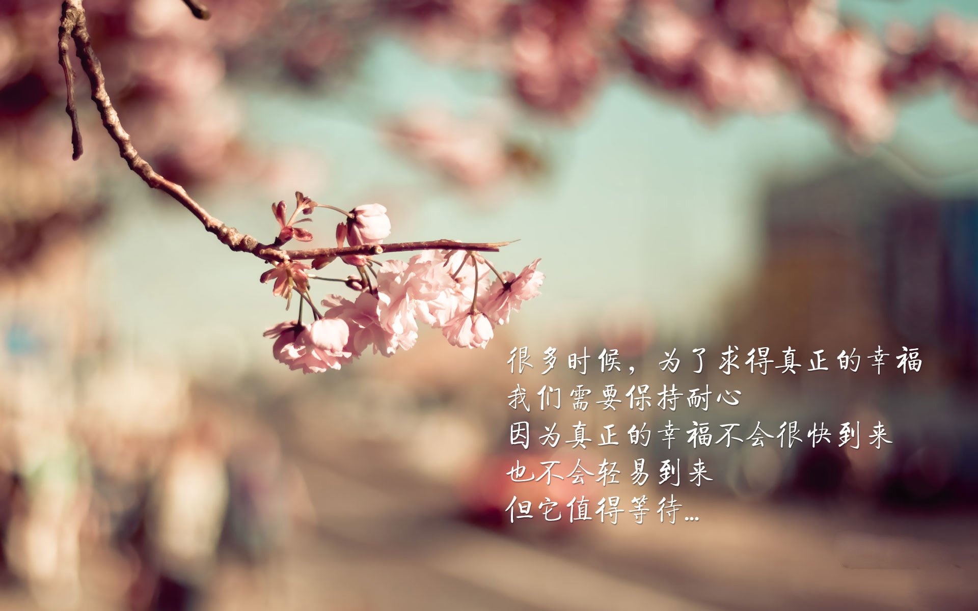 风暴之眼与黑色闪电,克瓦拉茨赫利亚的统治与尼日利亚的末节雷霆