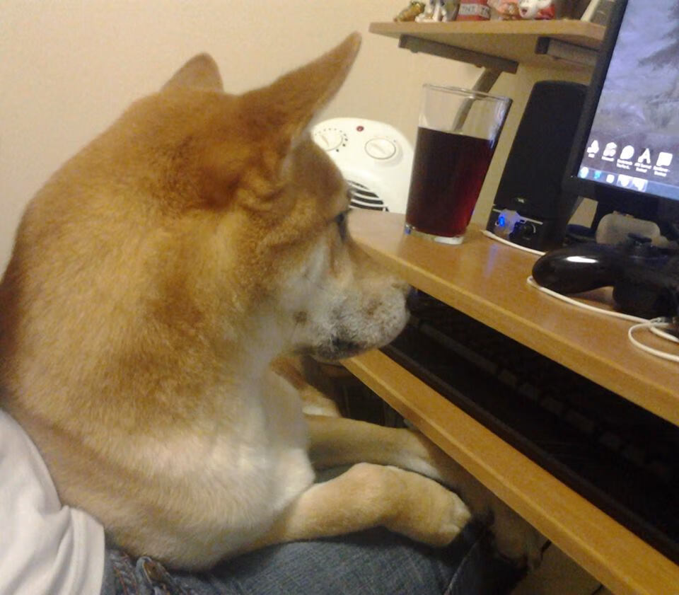 开云体育官网-布伦森末节锁死弗格，新疆队防守制胜神奇翻盘辽宁