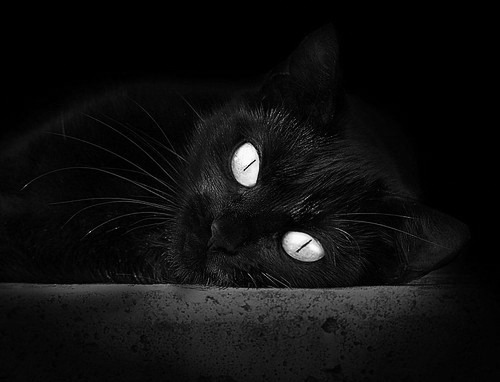 开云体育中国-沉默领袖的怒吼，京多安在卡塔尔对阵利物浦的焦点战中完成终极证明