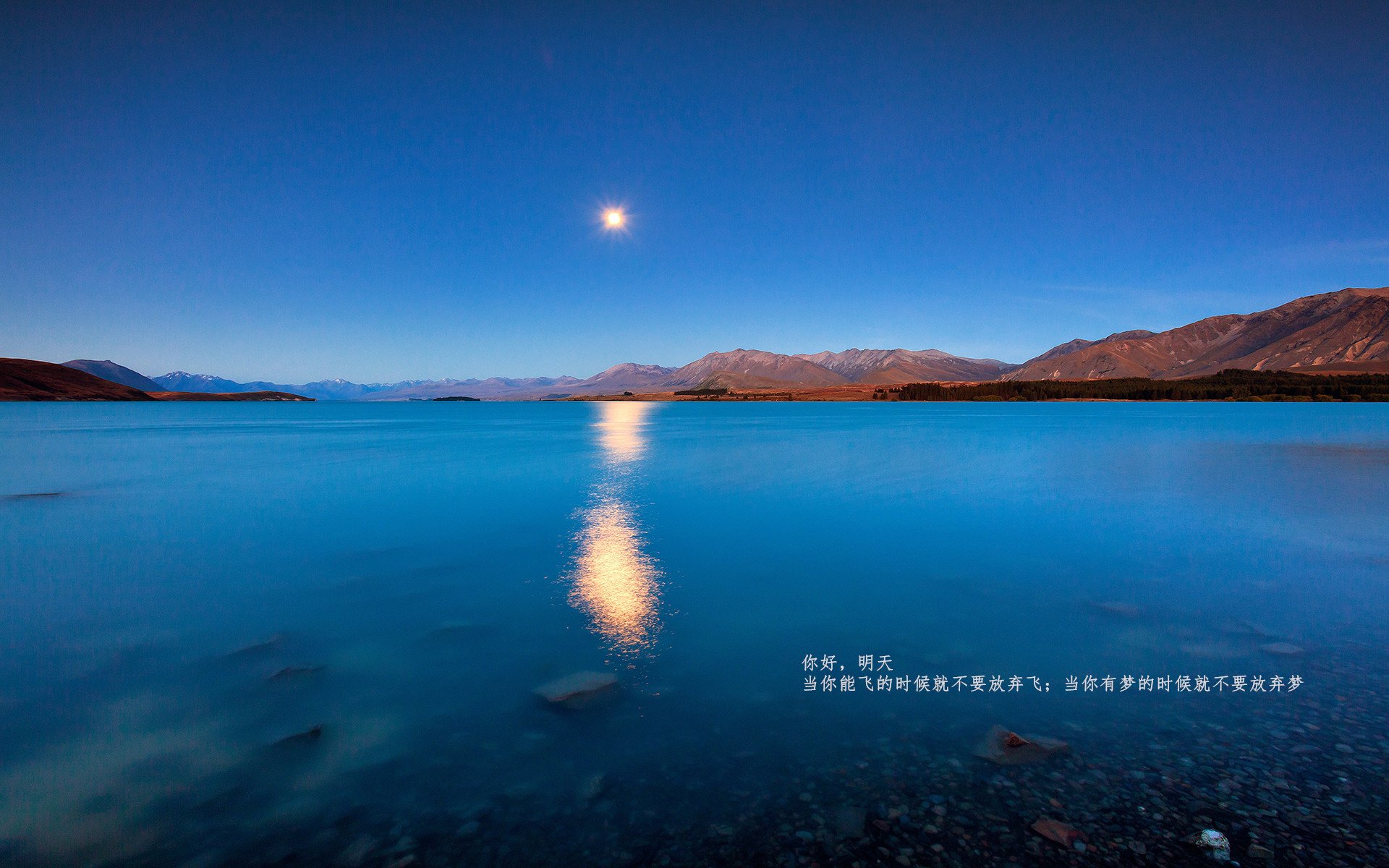 篮球智慧与赛道艺术,上海团队协作与英格拉姆极速统治的双重奏