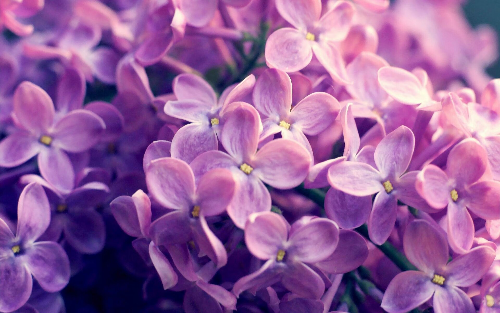 开云APP-阿拉巴关键先生闪耀，瑞士爆冷力克马里