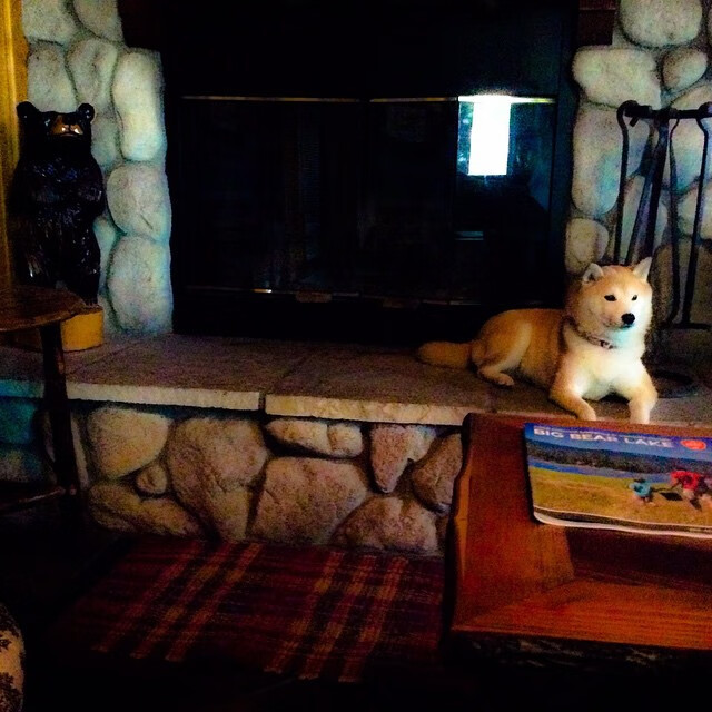 开云下载-跨越队界的绝杀，当字母哥为开拓者戴上英雄面具