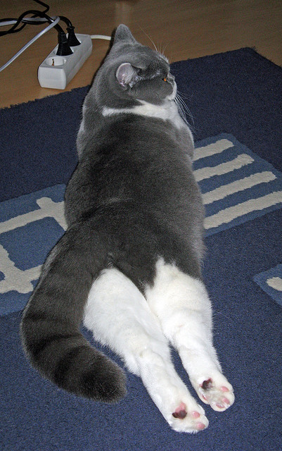 开云体育平台APP-末节风暴！活塞逆转掘金，莫兰特关键先生定乾坤