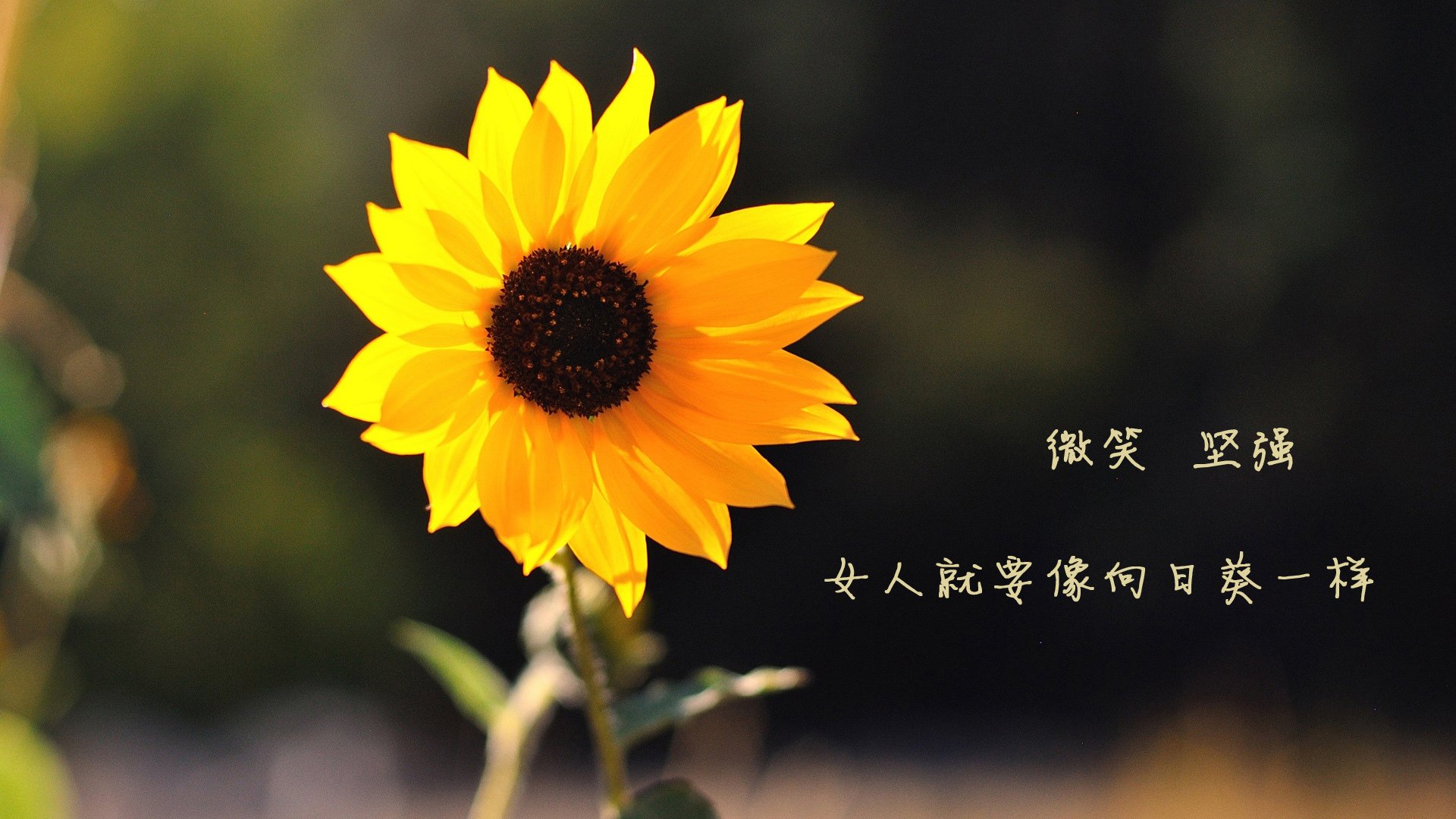 维尼修斯天神下凡!亚特兰大硬仗力克马赛,巴西天才接管排名争夺战