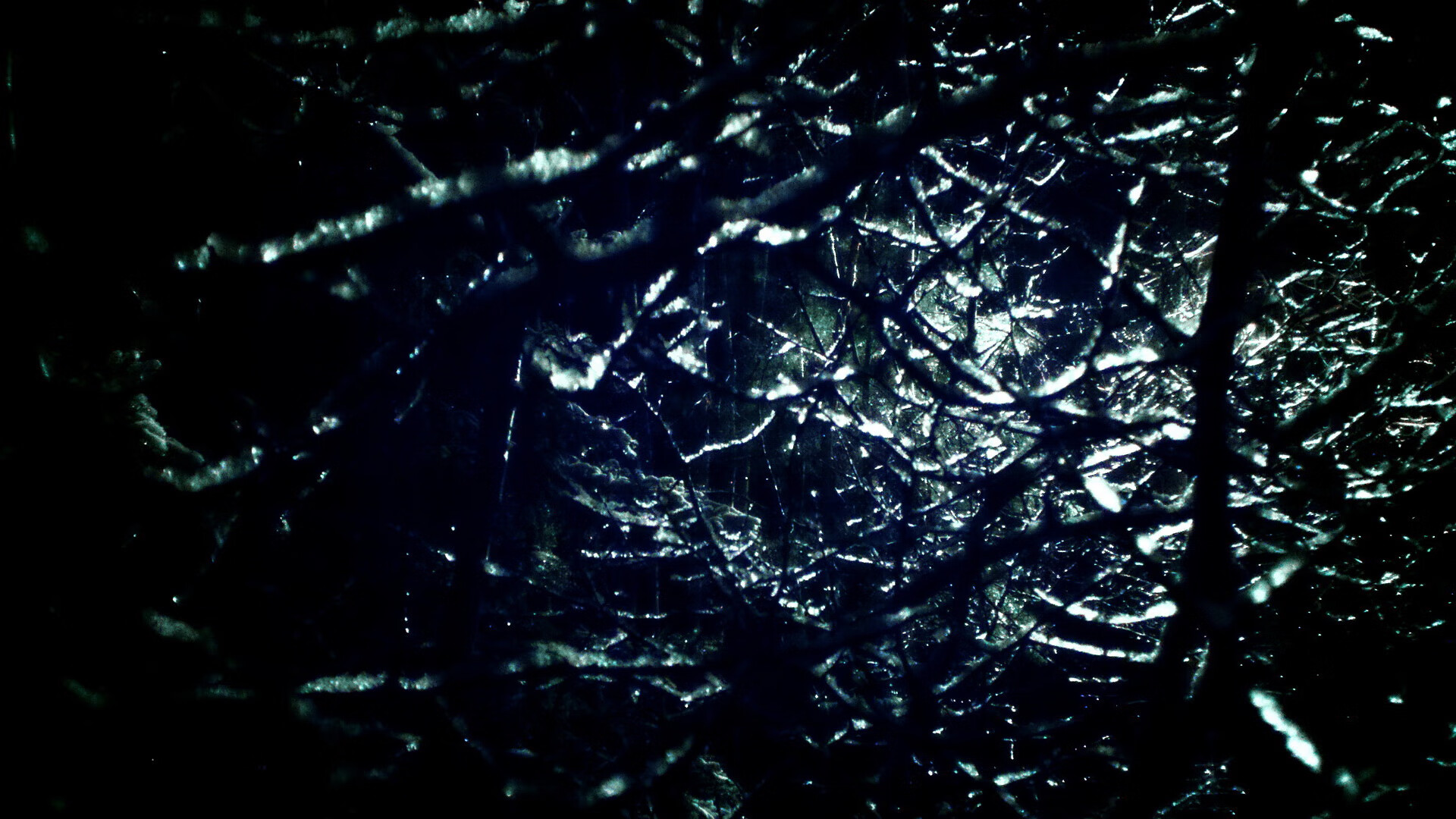 开云APP-美加墨世界杯之夜，C罗的叹息之墙