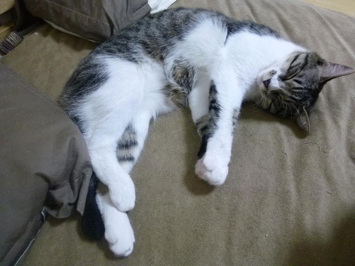 以一敌百，詹姆斯在绝境中诠释何为个人能力完全展现