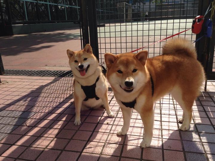 开云体育登录-詹姆斯状态火热狂飙40+山西队加时鏖战险胜开拓者