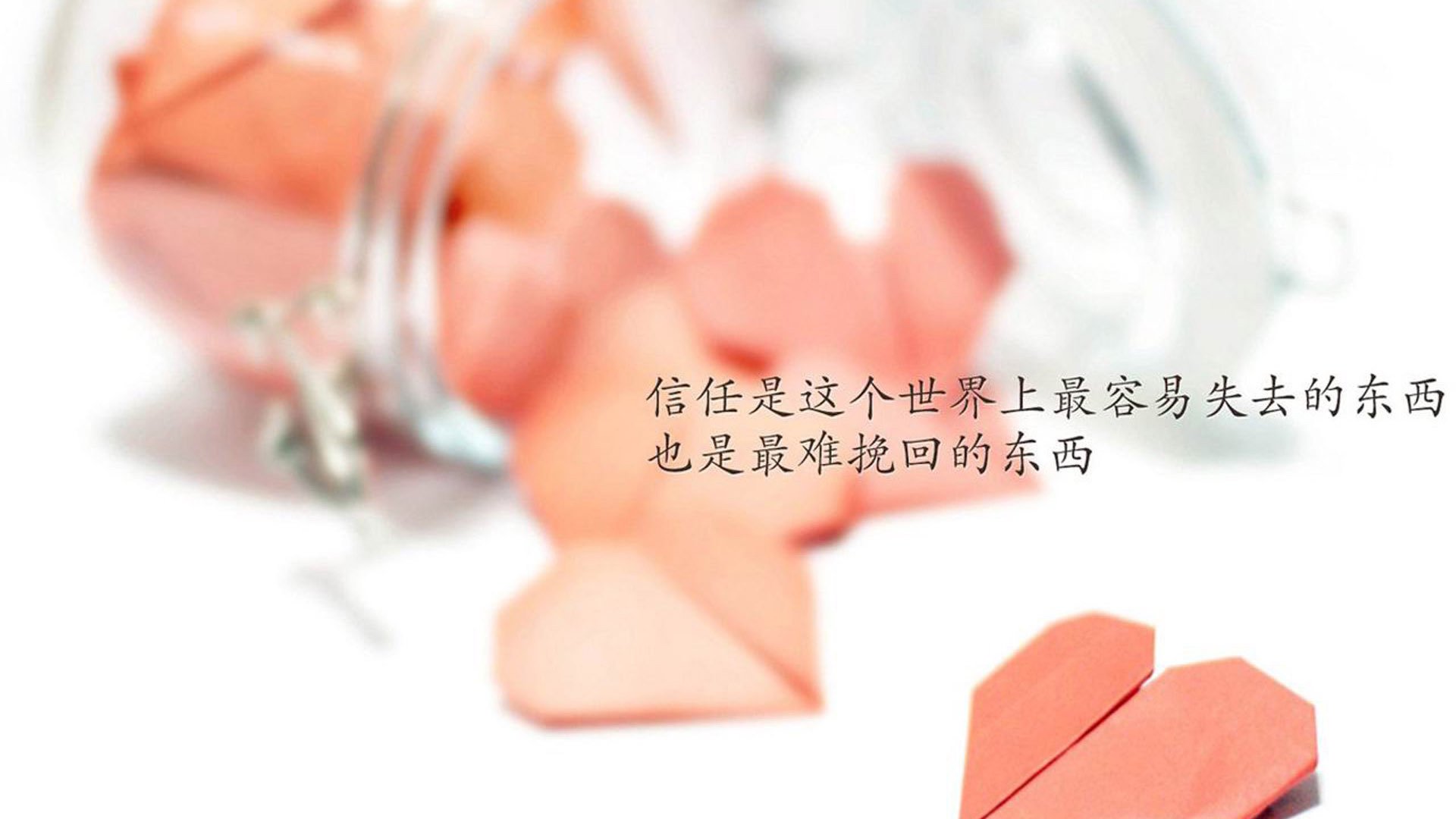 龙吟绝响，当骨子里的凶猛撕裂了天空的优雅