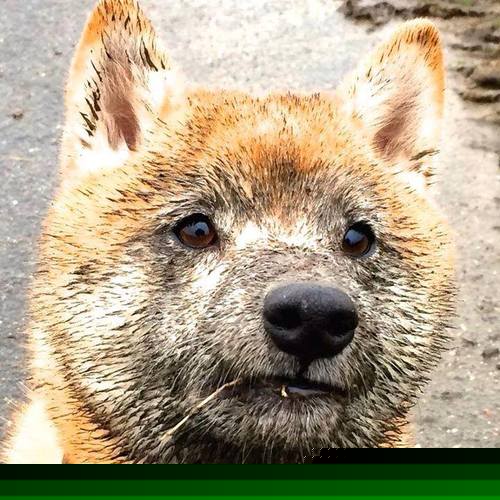 开云体育官网-新星帕尔默闪耀全场，阿森纳客场3-1力克里昂