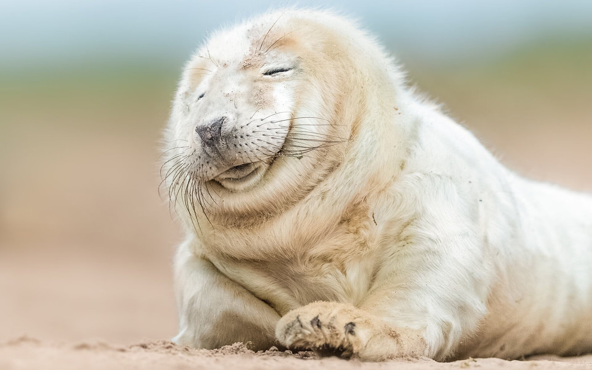 跨越太平洋的篮球对话,拉文的飓风得分与华南虎的钢铁逆转