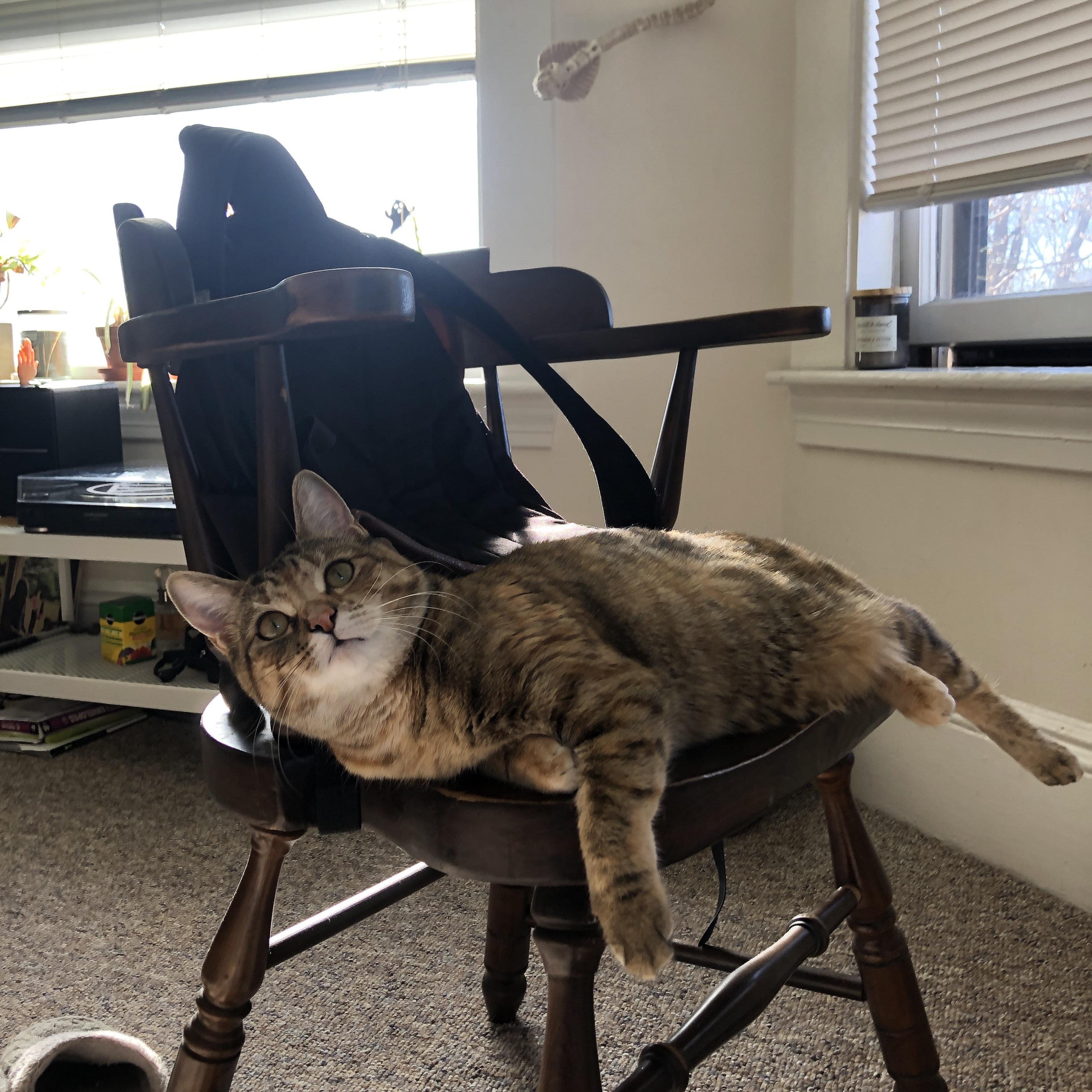 战术革命的胜利,巴尔韦德引领莱比锡风暴击溃哥斯达黎加