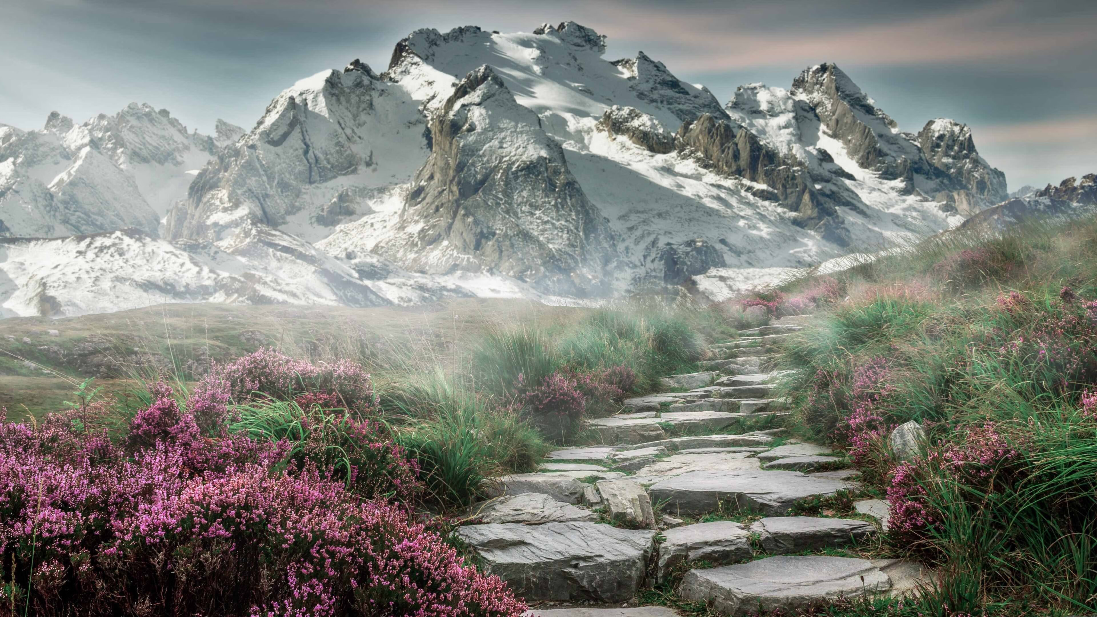 开云体育下载-西决生死夜，奥斯梅恩的毒牙，撕开了钢铁防线