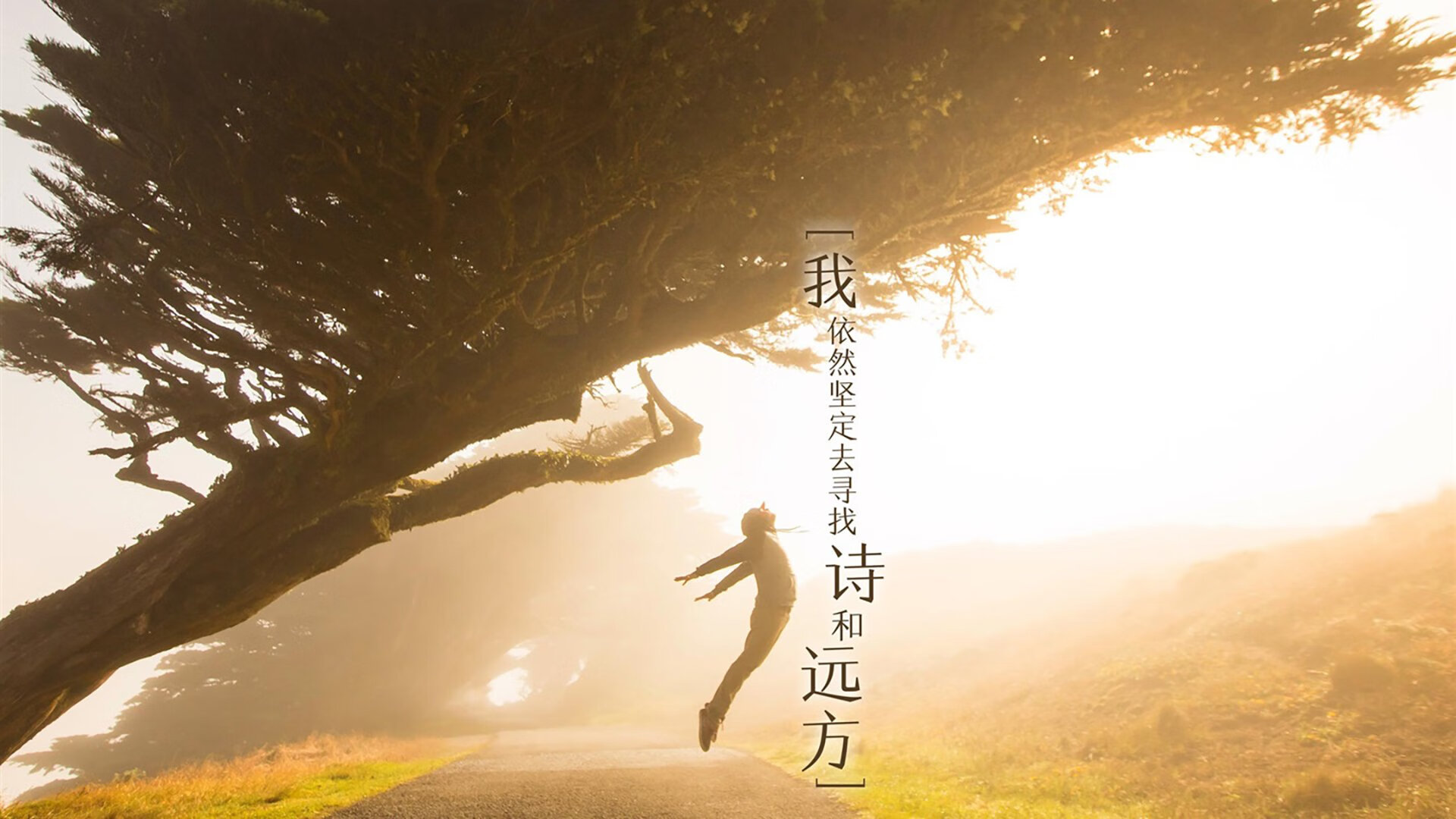 荒漠绿洲的奇迹之夜，2026世界杯E组焦点战，澳大利亚逆转阿联酋，内马尔中场筑起不败长城