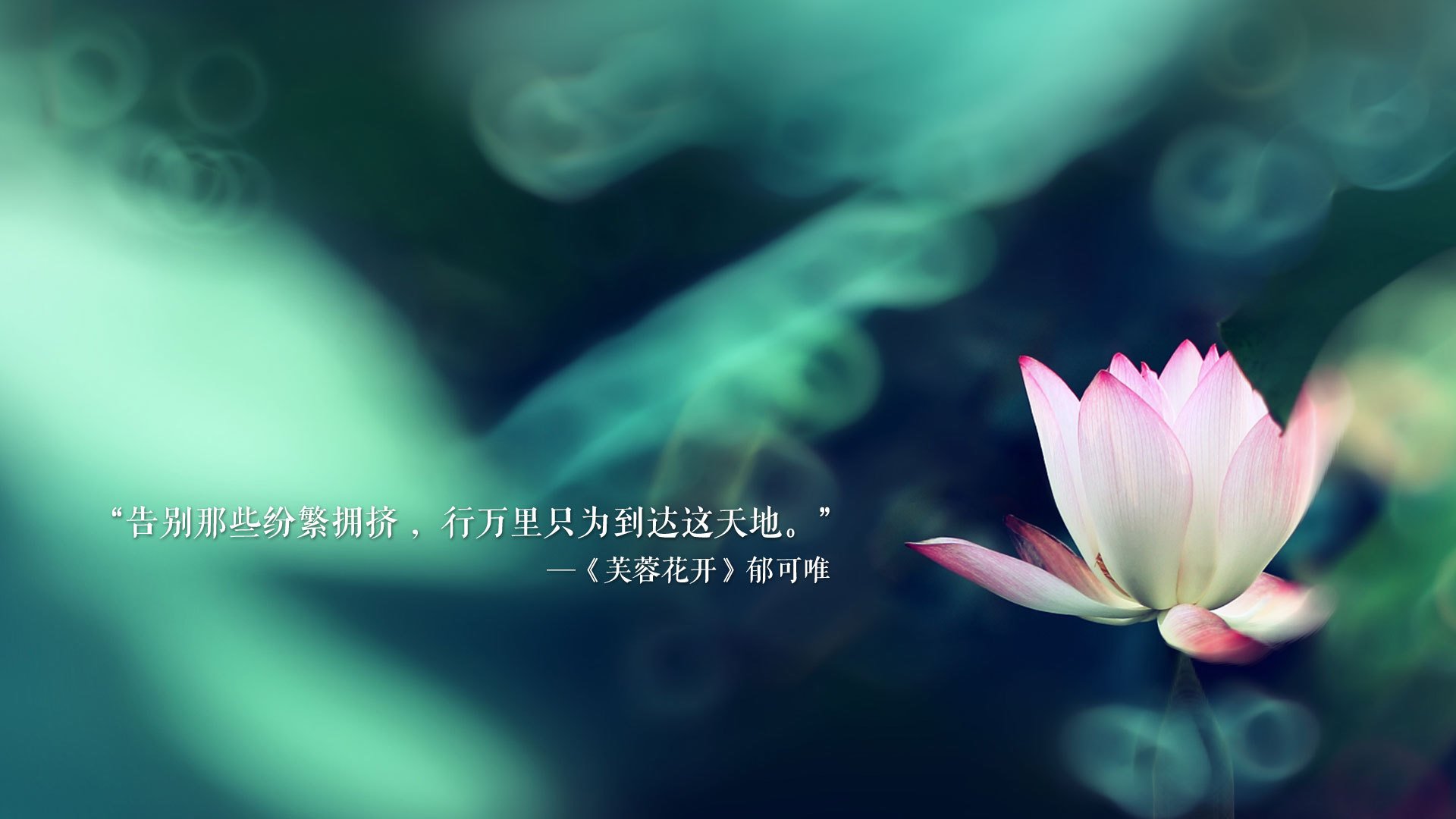 激战2026，C组生死战，加纳横扫日本，布罗佐维奇带队奏凯