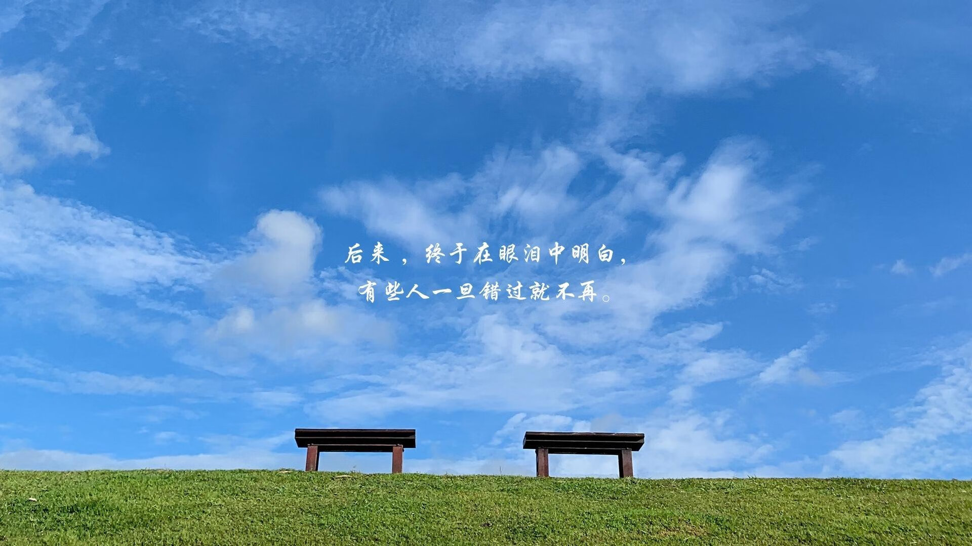 橙衣军团再扬威，范戴克铁血领军，荷兰完胜捷克挺进2026世界杯决赛