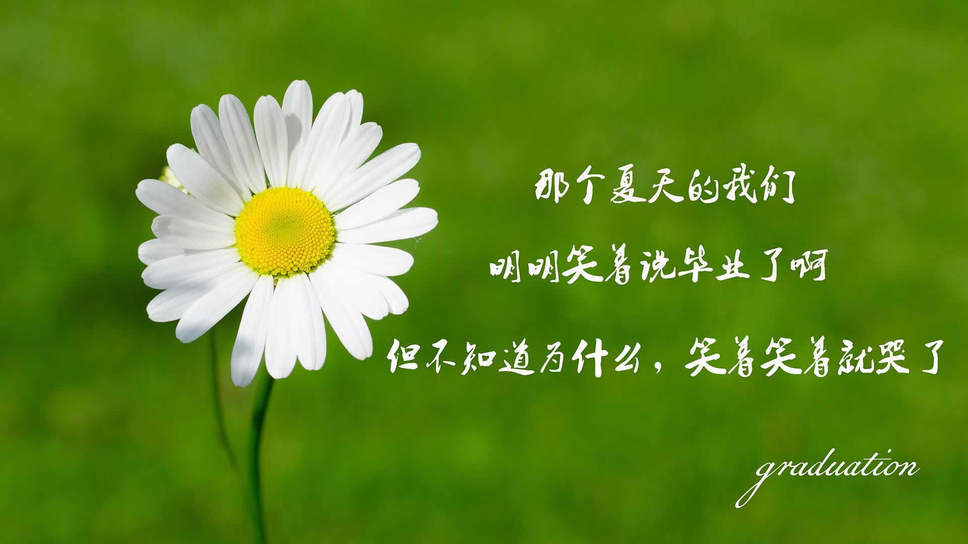 开云体育平台APP-绿茵风暴，巴格达之夜的红色闪电，伊拉克如何用钢铁意志击碎中亚铁骑